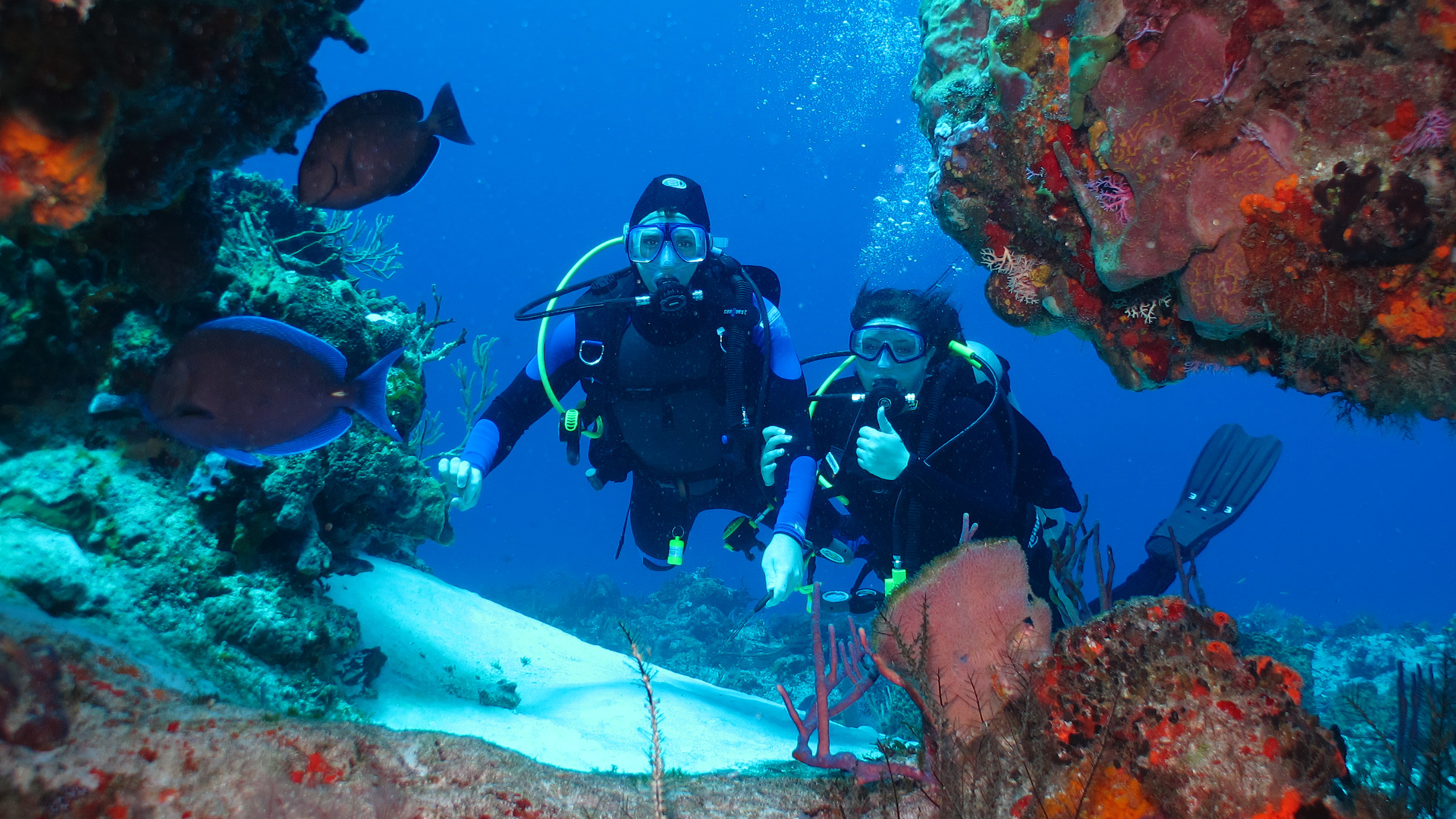 Buceo en Cozumel - Vivo Cozumel